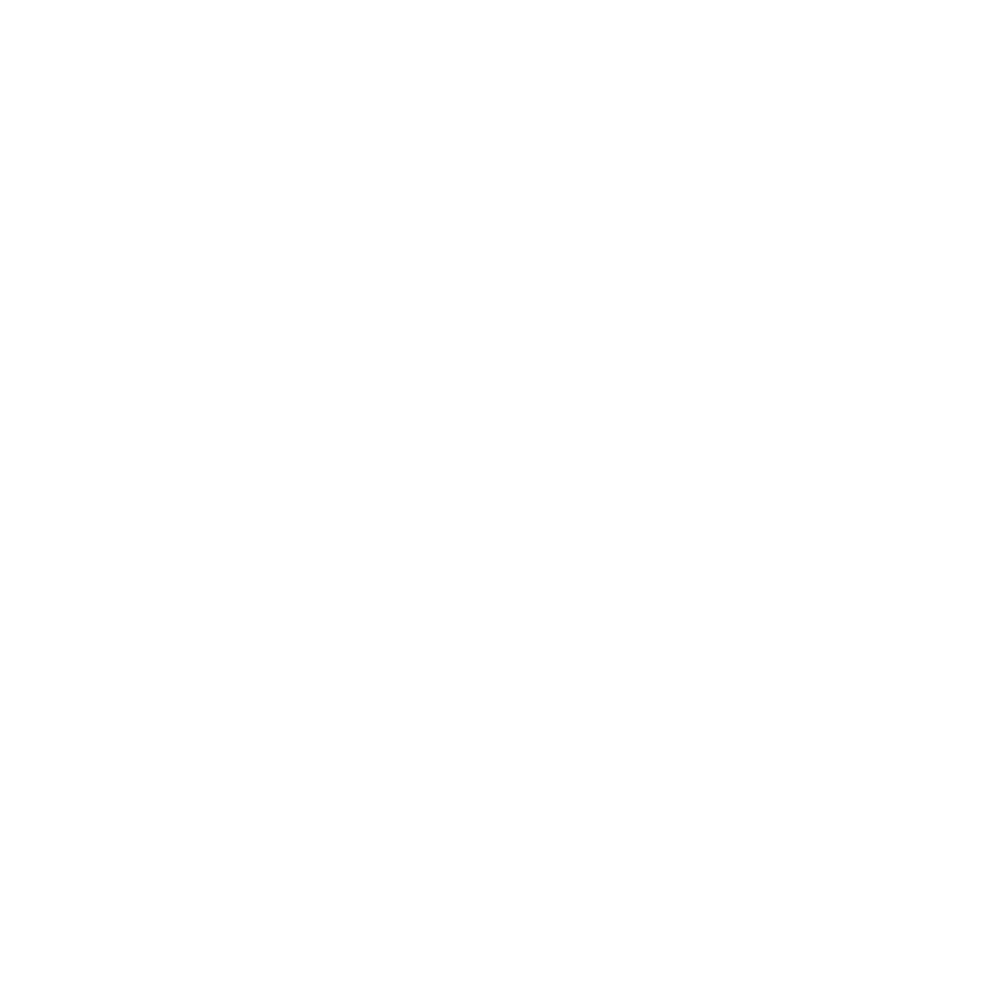 Silver Mountain logo